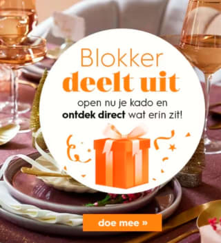 €2,50 korting bij Blokker dmv krascode
