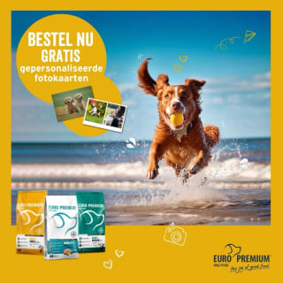 Gratis prints via Stampix