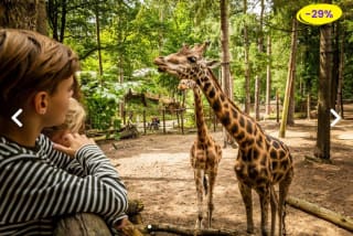 DierenPark Amersfoort entreeticket voor €18,50 bij Actievandedag