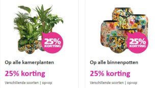 25% korting op alle kamerplanten, binnenpotten & woonaccessoires bij Ranzijn