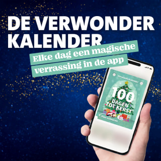 Voucher voor gratis kerstornament naar keuze bij Intratuin