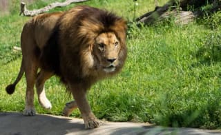 Estancia en Hotel Bed4U Tudela 3* c+ entradas incluidas al Parque de Naturaleza Sendaviva 47€ pxp m2p