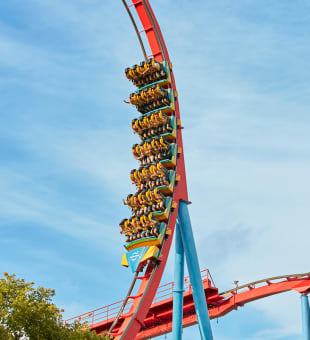 Navidad en PortAventura Hotel+Entradas desde 63€.