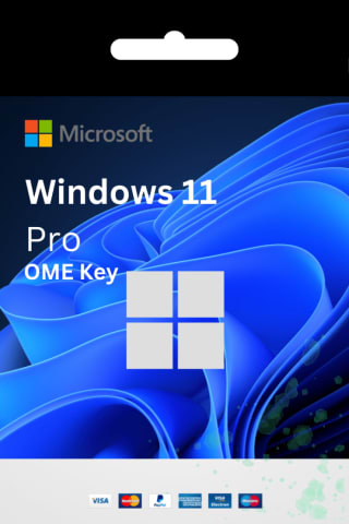 Windows 11 Professional OEM Key por solo 0,90€