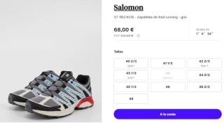 Zapatillas de Hombre Salomon XT RECKON GTX por 68€