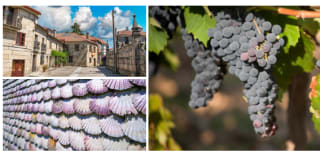 Ruta de 6 dias en Rias Baixas Hotel y guias y cata incluidos desde 295€
