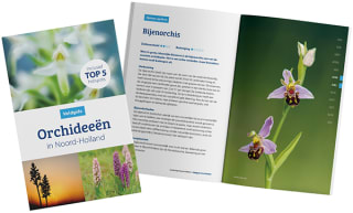 Gratis veldgids orchideeën aan te vragen