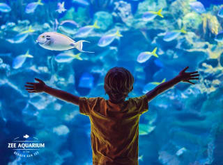 Toegangsticket Sea Life Scheveningen voor €16,50 via Tripper