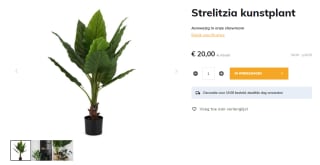 Strelitzia kunstplant voor €20,00 bij DKW Woonvision
