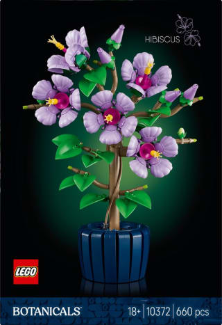 LEGO botanicals 10372 hibiscus voor €59,99 bij Bol