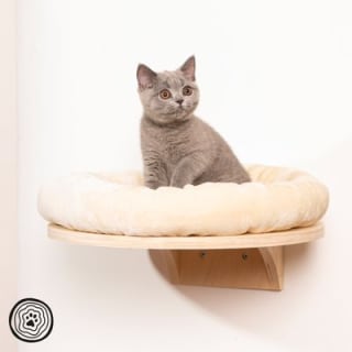 Cama de pared Natural Paradise Dahlia para gatos por 27,99€
