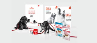 Gratis Kit bienvenida para tu nueva mascota + cupón descuento de 15€ en Royal Canin