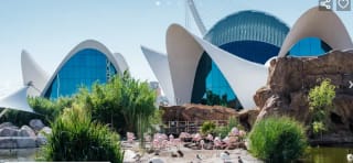 Hotel en Valencia + entradas al oceanogràfic por 64€ pxp (min.2p aDULTOS)