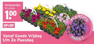 Perkplantjes 10 voor €1 bij Gamma tijdens plantjesmarkt 7-10 april