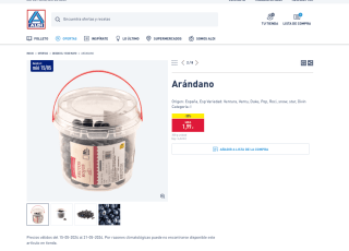 Arándanos 300g Origen España en ALDI por 1,99€