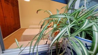 Error precio 7 dias en Conil de la Frontera por 4€ en VERANO