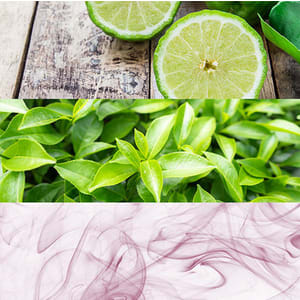 Perfurme Calvin klein CK One por 17,95€