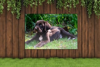 72% korting op tuinposter met eigen foto of collectiebeeld (bv. 90x60cm voor €19,14 incl. verzending) @ Fotocadeau