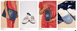 Ropa y accesorios de Harry Potter desde 1,99€