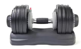 Everlast Dumbbell – 32.5kg for Just £60
