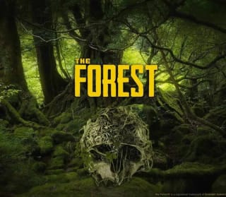 Videojuego The Forest por 1,67€