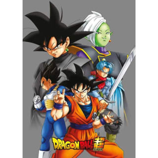 Manta Toei Animation Polar Dragon Ball Super 100x140cm por 6,99€