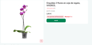 Orquidea 3 flores en caja de regalo por 1€