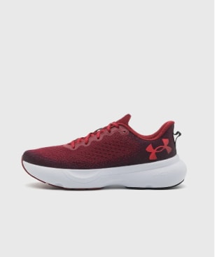 Zapatillas de Running Under Armour Infinite para Hombre por 48€