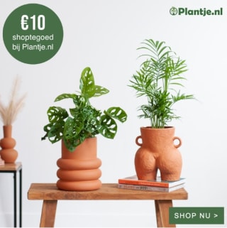 €10 korting bij besteding vanaf €25 bij Plantje