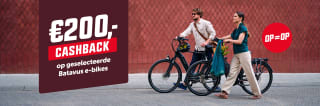 € 200,- cashback op geselecteerde Batavus Finez e-bikes