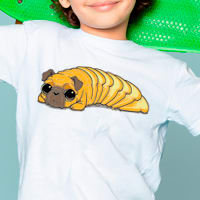 11.11 Selección de camisetas originales por solo 11,11€ en Pampling
