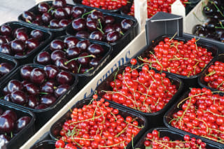 De fruitigste dagen, gratis dagje uit bij diverse fruittelers