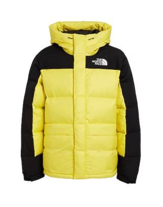 Parka The North Face M Hmlyn Down por 117€