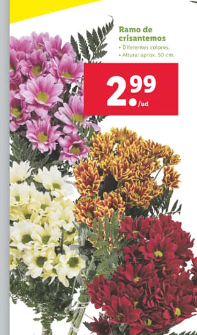 Ramos para Todos los Santos desde 2,99€