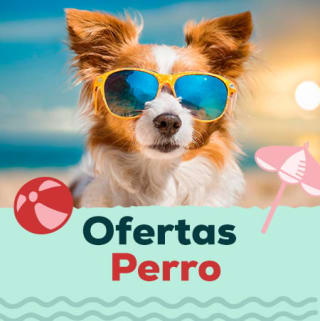 Descuento 21% Kiwoko comida para perros