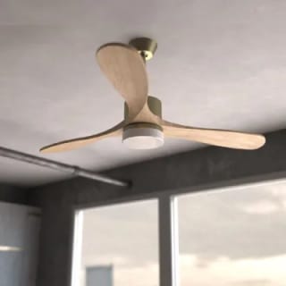 Cecotec Aero 5290 DC 35W + luz y mando por solo 84€