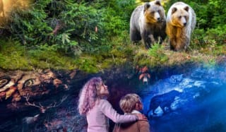 Tickets voor Grotten van Han (Ardennen België) vanaf €23,50