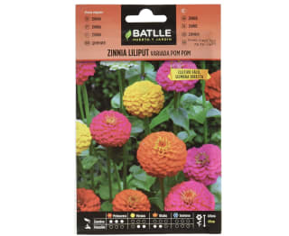 Semillas Batlle Zinnia LILIPUT variada (Pom Pom) a solo 1,88€