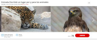 Oferta entradas al Zoo Koki desde solo 7.80€