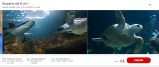 Buena oferta solo 8€ entrada Acuario Gijón