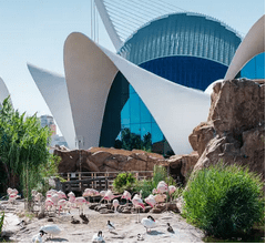 Hotel 3* con entradas al Oceanogràfic València desde 56€