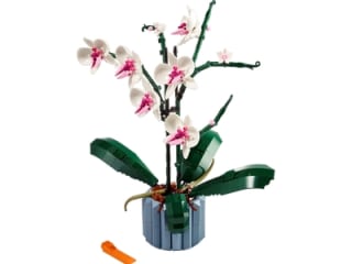 LEGO Botanical Collection Orchidee voor €39,64 bij Amazon