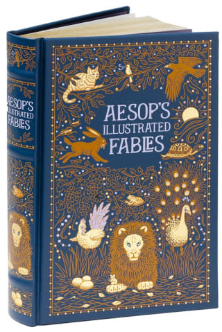 Aesop's Illustrated Fables (Barnes & Noble Collectible Editions) hardcover boek voor €24,99 bij Bol
