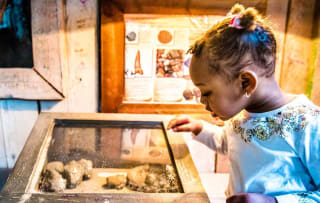 Entreeticket Mappa Mundia in Avonturia voor €4,95 via Tripper