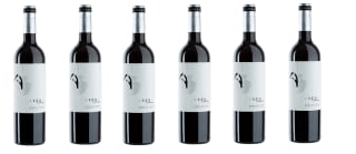 6 Botellas de Arcum Reserva 2020 por 44€