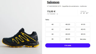 Zapatillas de Hombre Salomon XT BACKBONE GTX por 73€