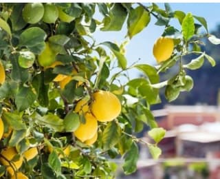 Estancia 5 días Costa Amalfitana y vuelos desde 219€