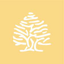 Código 20% Descuento Nueva Colección de Springfield