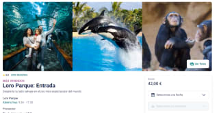 Loro Parque: Entrada Adulto por 42€