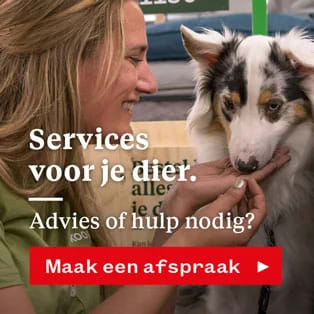 Gratis gezondheidscheck voor katten bij Welkoop